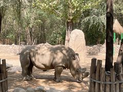 -北京野生动物园