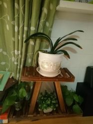 -煜婷产后恢复中心(印象生活广场店)