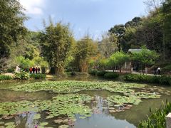 -广州市白云山风景名胜区