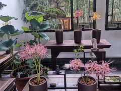 -杭州植物园
