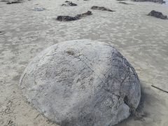 -摩拉基大圆石