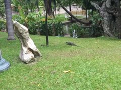 -五世皇金柚木行宫(维护中)