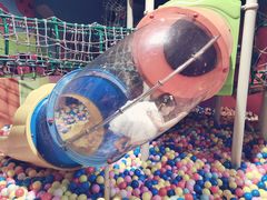 -成都浩海立方海洋公园