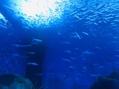 -多彩贵州城极地海洋世界