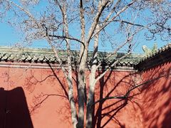 -天坛公园