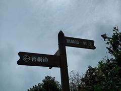 -梧桐山风景名胜区