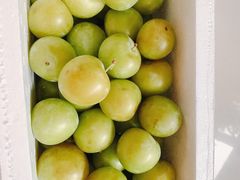 -呼吸森林·生态农庄农家乐私房菜