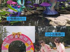 -南山植物园