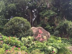 -乌山风景区