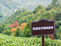 -十里琅珰
