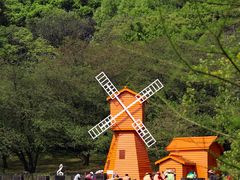 -苏州上方山国家森林公园