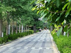 -春满园生态餐厅(南宫路店)