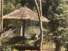 -云南野生动物园