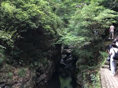 -大奇山国家森林公园