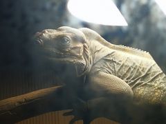 -杭州野生动物世界
