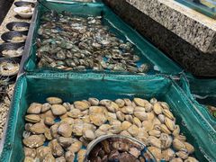 -初色海鲜自助(万丰路店)