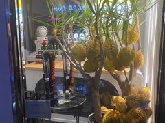 -猫王榴莲世家(三里屯SOHO商场店)