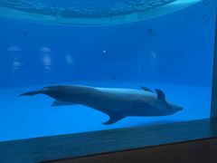 -西海国立公园九十九岛水族馆