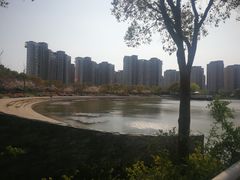 -新江湾城公园