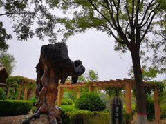 -大槐树寻根祭祖园