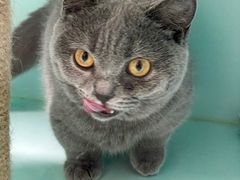 -猫宠乐园·专业洗护