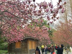 -荆川公园