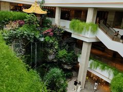 -广州白天鹅宾馆