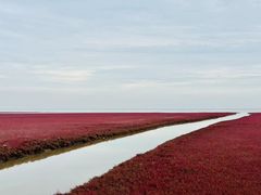 -红海滩国家风景廊道