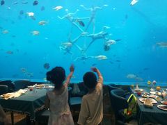-瑞德姆美人鱼海底演艺主题餐厅(亚龙湾店)
