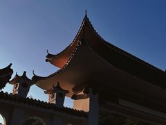 -深圳仙湖植物园