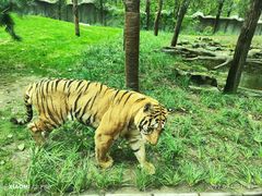 -北京野生动物园