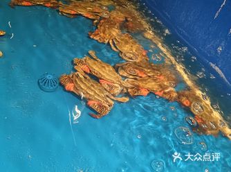 进京渔湾餐厅，吃平价海鲜。