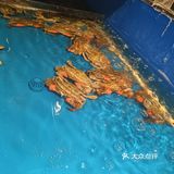 进京渔湾餐厅，吃平价海鲜。