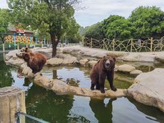 -常州淹城野生动物世界