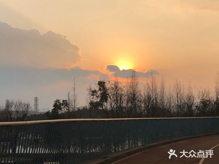 白鹭湾湿地公园图片