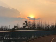 -白鹭湾湿地公园