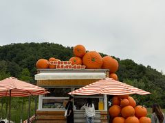 -南北湖风景区