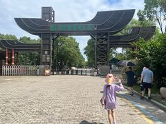 -溱湖国家湿地公园