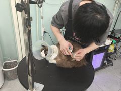 -中农大我爱我爱动物医院·核磁CT·猫病·24小时夜诊中心(石佛营店)