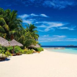 -薇兰专业脱毛连锁机构