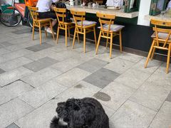 露天位-RAC BAR(安福路店)