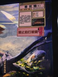 -Zoolung Zoolung动物主题公园(海信广场店)