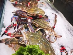 -渔娘渔家丹东海鲜(东直门店)