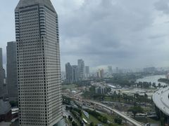 -新加坡丽思卡尔顿美年酒店