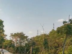 -中山市树木园