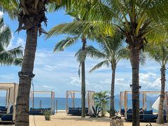 -精酿农场Brew Farm·沙漠绿洲餐厅