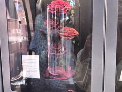 -杭州湖滨in77