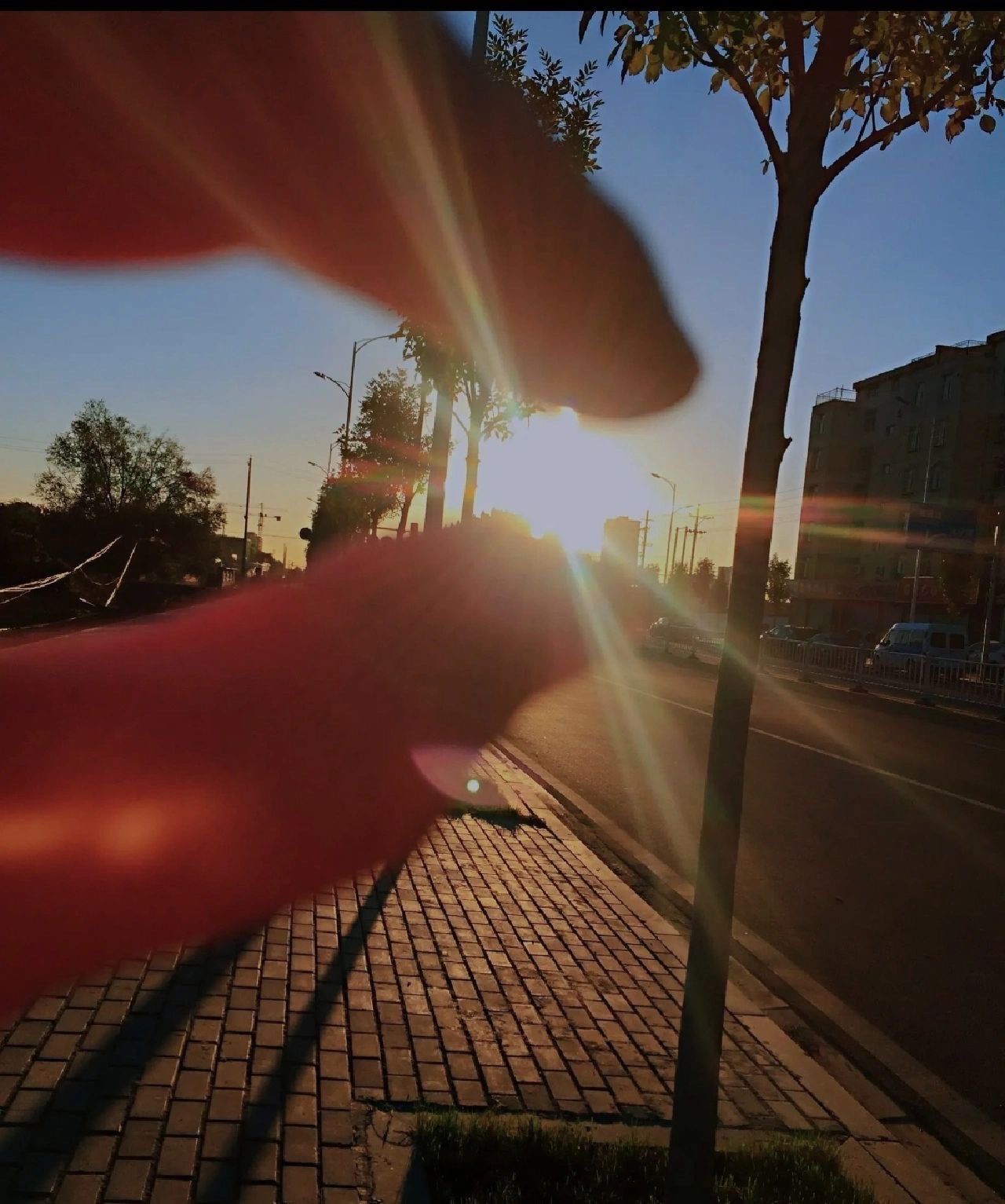 这张早晨的照片拍的咋样?