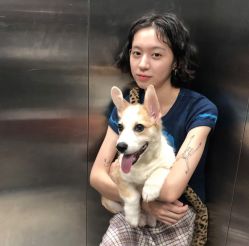 -贰伍玖造型