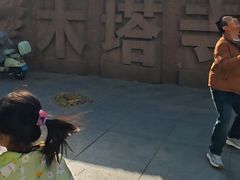 -木塔寺遗址生态公园